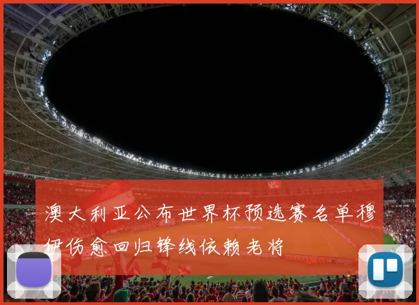 澳大利亚公布世界杯预选赛名单穆伊伤愈回归锋线依赖老将