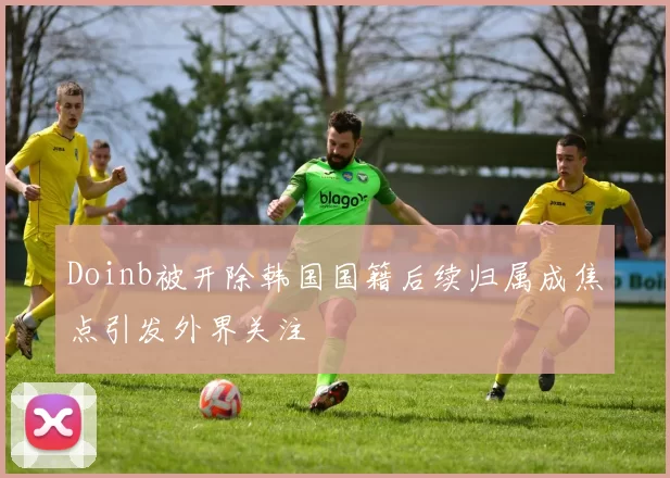 Doinb被开除韩国国籍后续归属成焦点引发外界关注