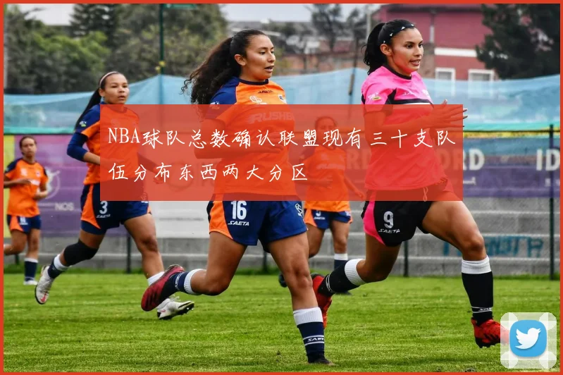 NBA球队总数确认联盟现有三十支队伍分布东西两大分区