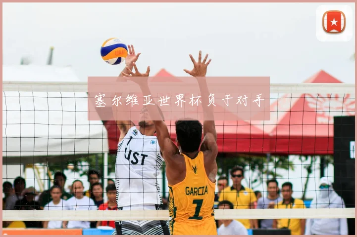 塞尔维亚世界杯负于对手
