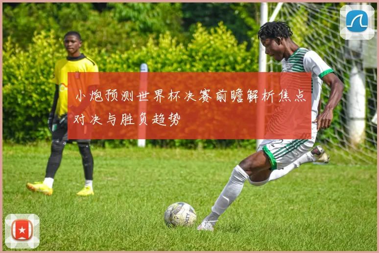 小炮预测世界杯决赛前瞻解析焦点对决与胜负趋势